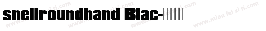 snellroundhand Blac字体转换